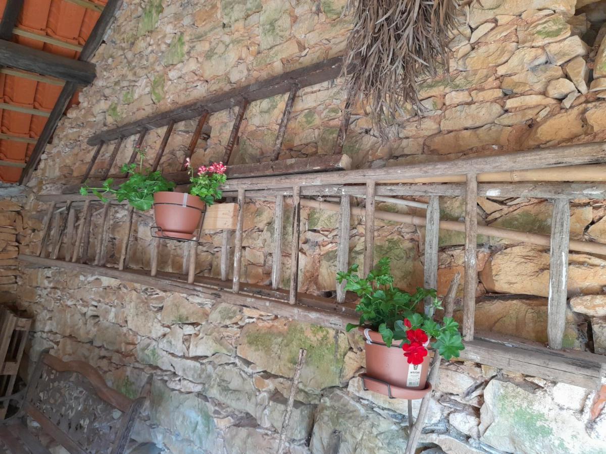 Casa Dos Terranhos Villa Tomar Eksteriør billede